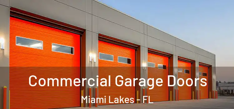  Commercial Garage Doors Miami Lakes - FL