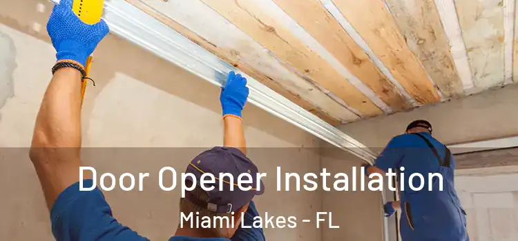 Door Opener Installation Miami Lakes - FL