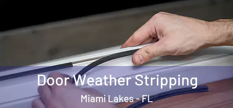 Door Weather Stripping Miami Lakes - FL