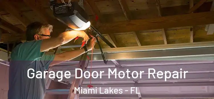  Garage Door Motor Repair Miami Lakes - FL