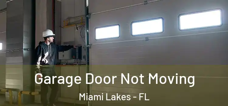  Garage Door Not Moving Miami Lakes - FL