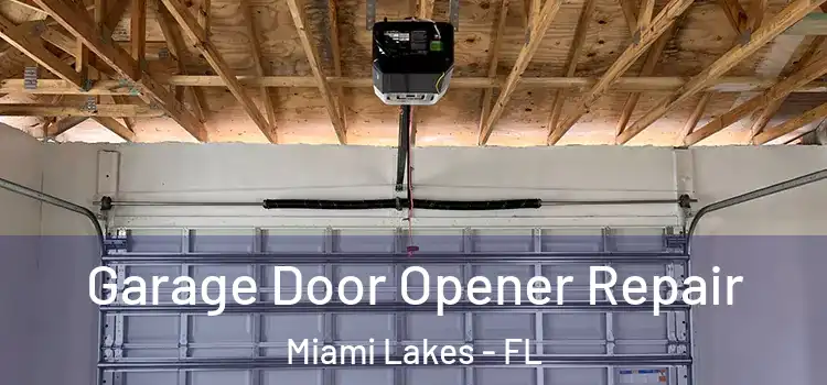  Garage Door Opener Repair Miami Lakes - FL