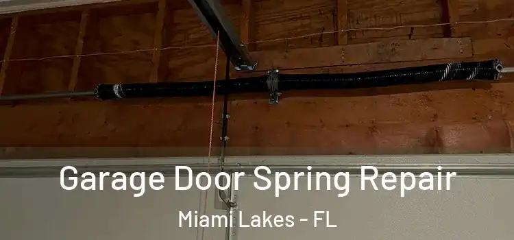  Garage Door Spring Repair Miami Lakes - FL