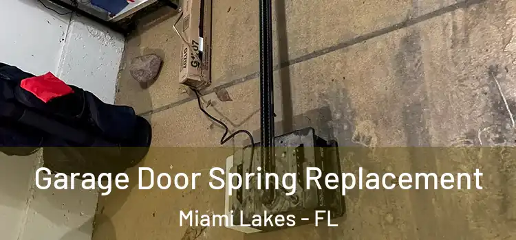  Garage Door Spring Replacement Miami Lakes - FL
