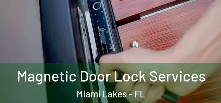 Magnetic Door Lock Services Miami Lakes - FL